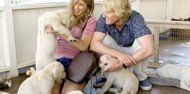 Marley & Me (2008) | Image Source: 20th Century Fox